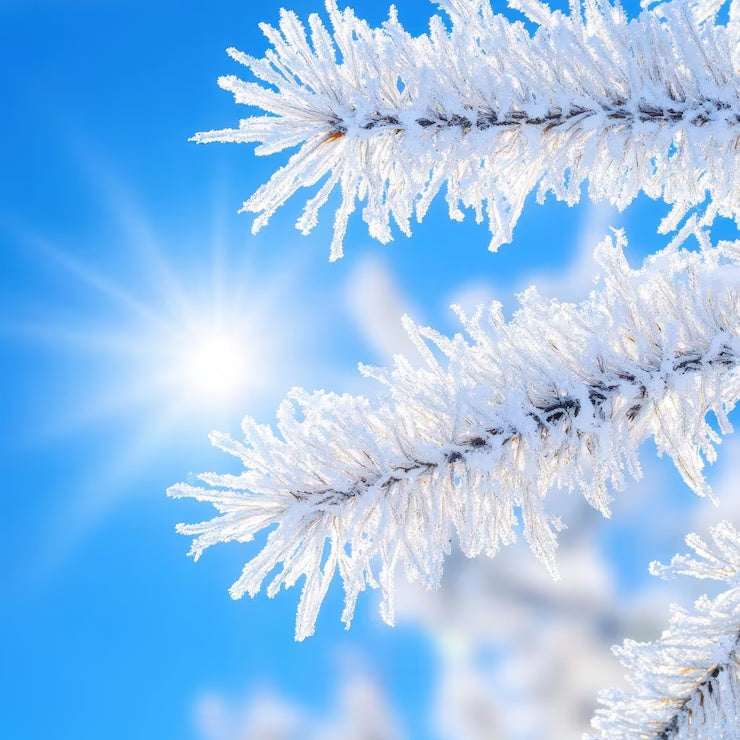 Beat the Winter Blues