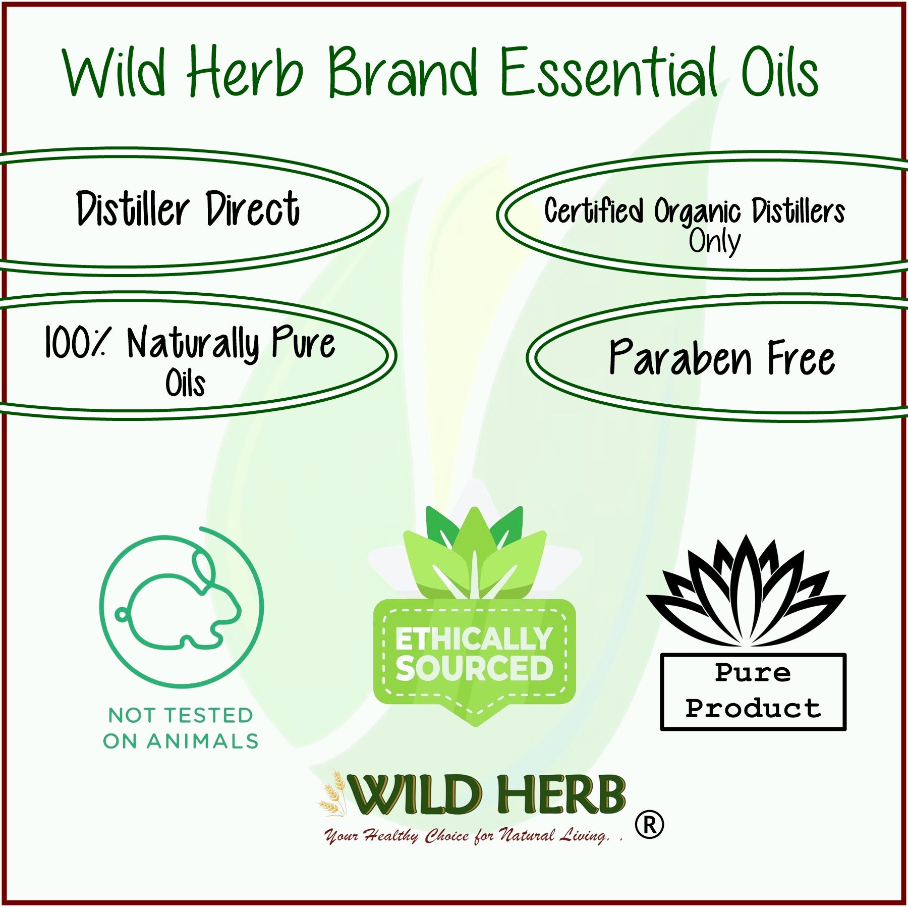 Marjoram Pure Essential Oil-Wild Herb Your Healthy Choice for Natural Living