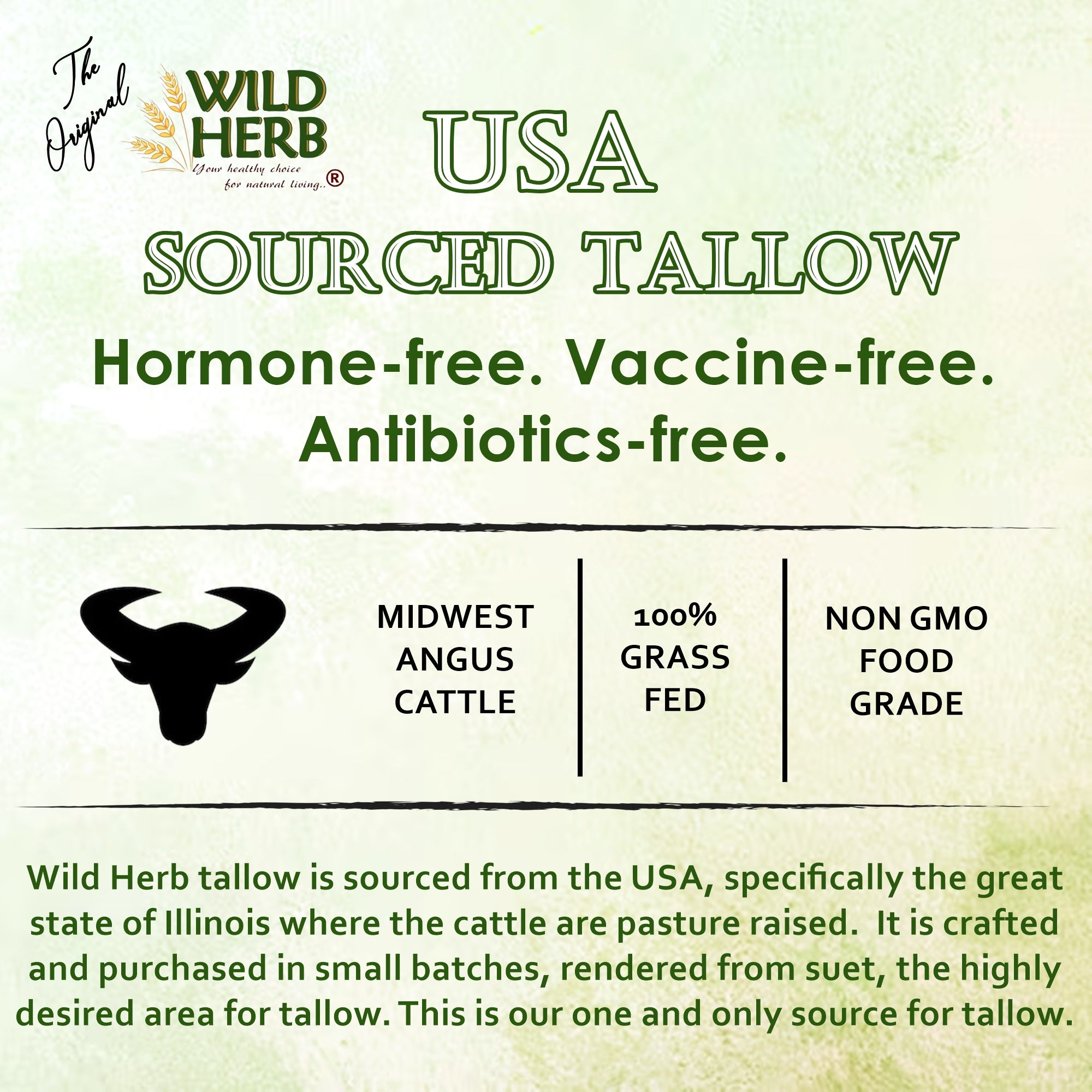 Tallow Whipped Body Cream