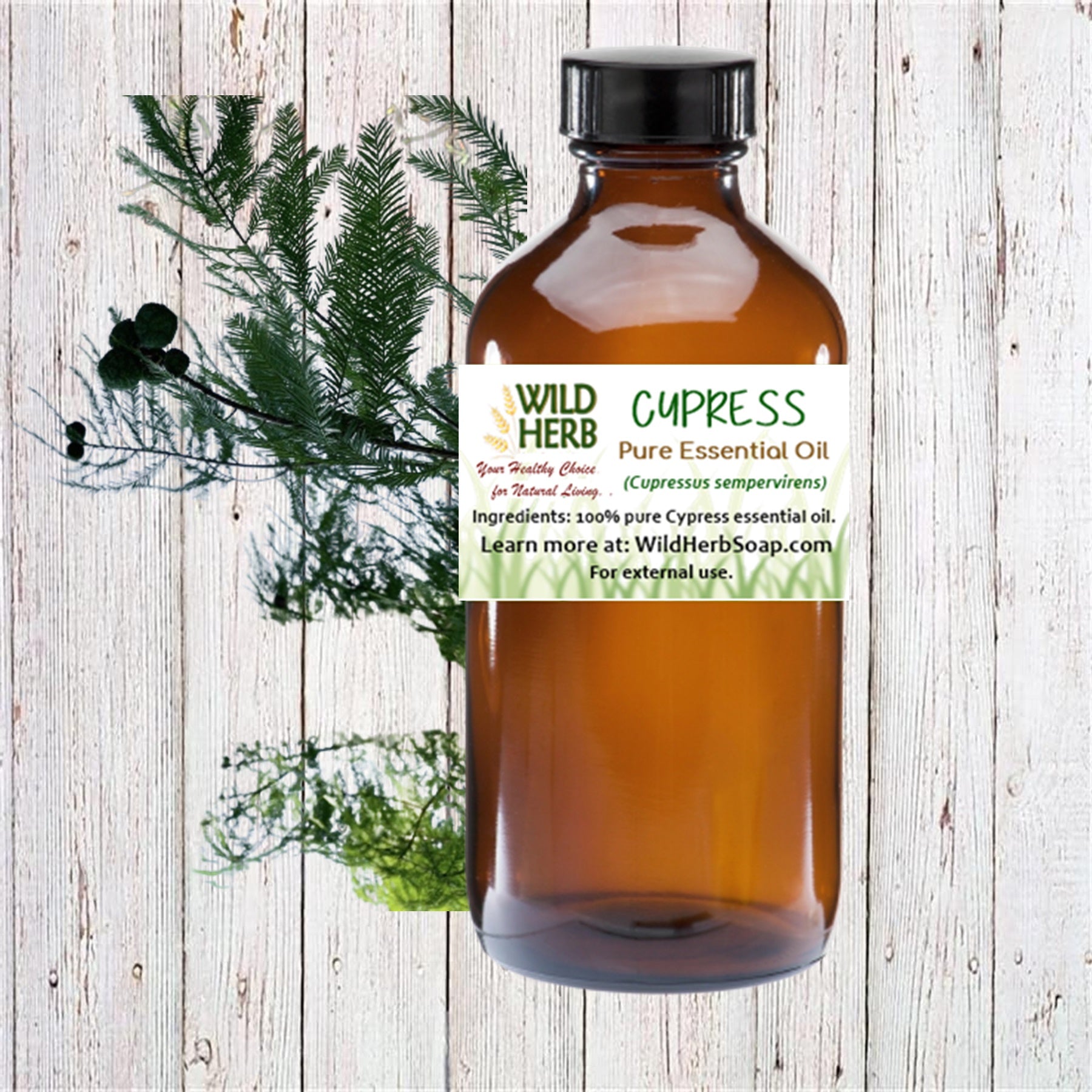 Cypress Pure Essential Oil-Wild Herb Your Healthy Choice for Natural Living