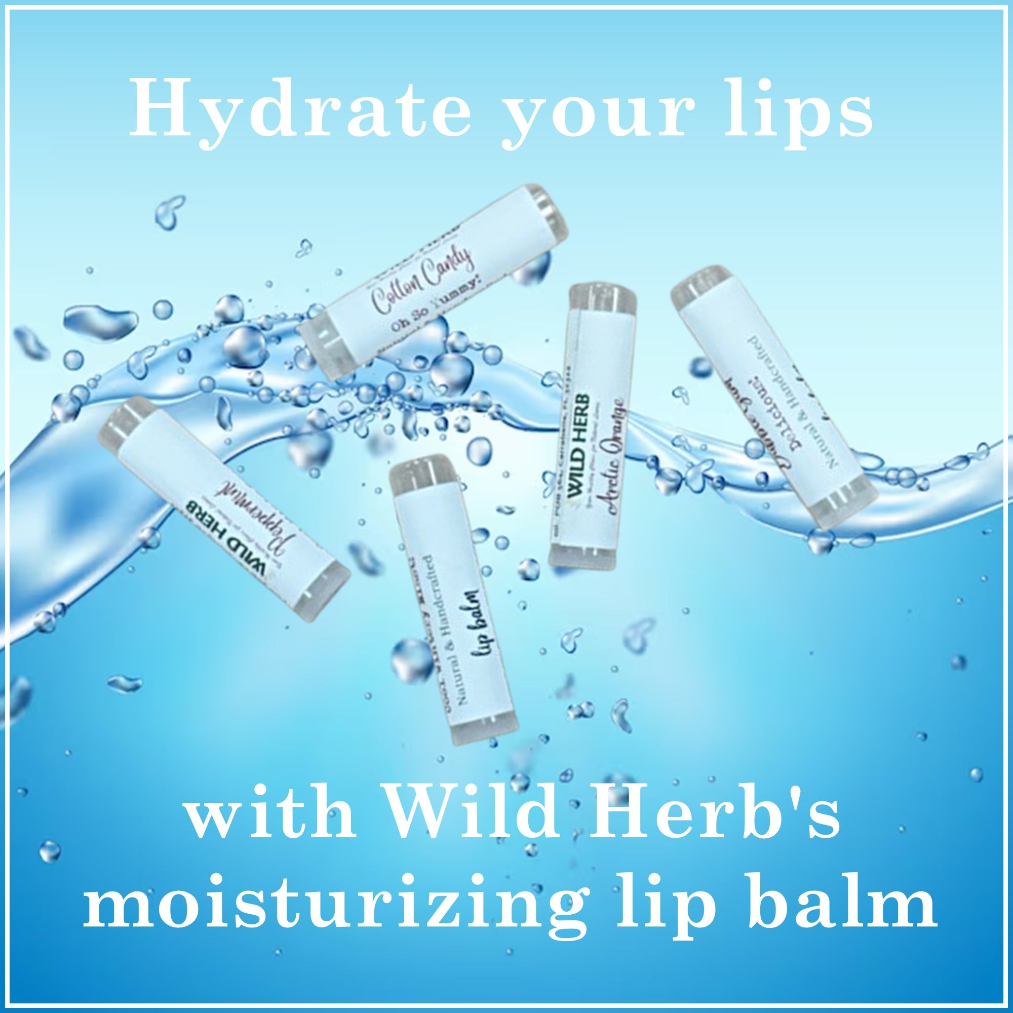 Lip Balm (Assorted Flavors)-Wild Herb Your Healthy Choice for Natural Living