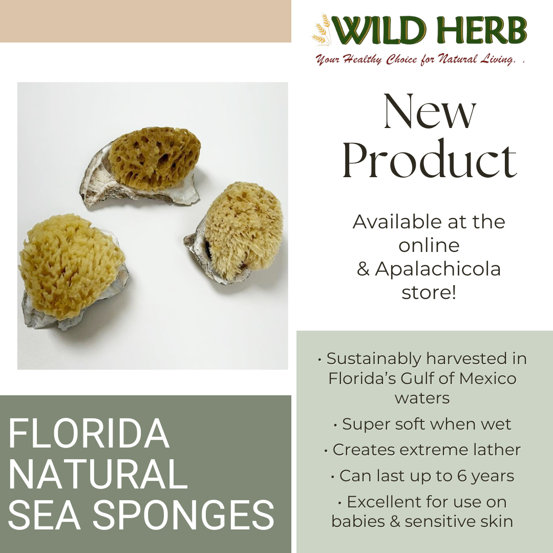 Sea Sponge, South Florida-Wild Herb Your Healthy Choice for Natural Living
