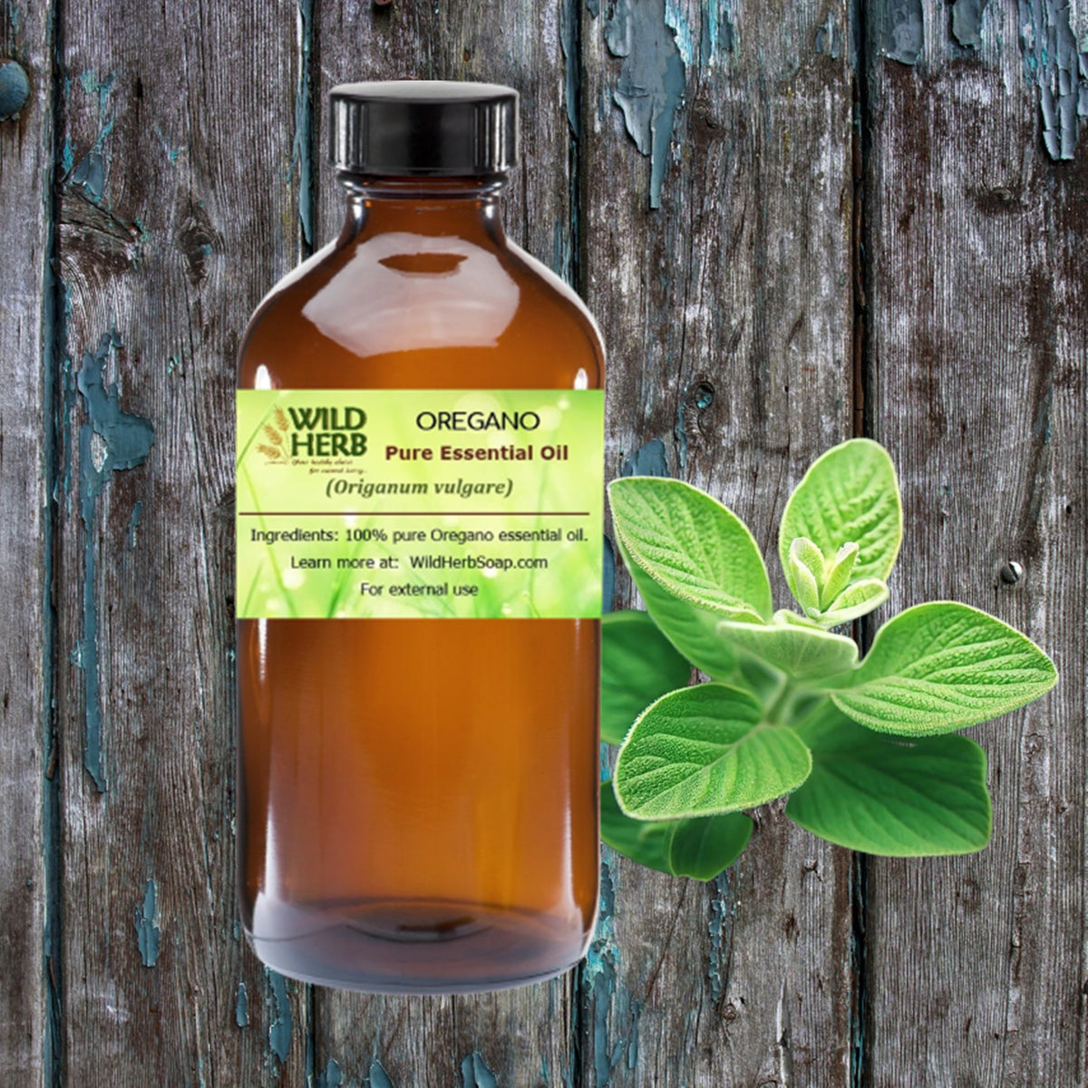 Oregano Pure Essential Oil  Wild Herb Your Healthy Choice For Nat