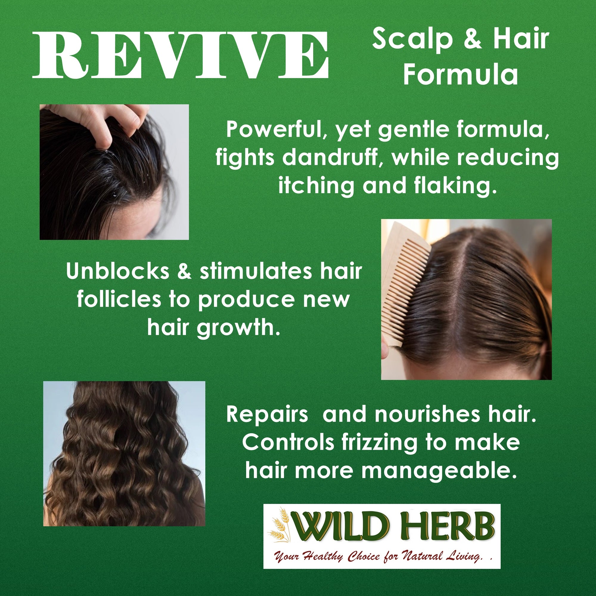 Revive Scalp & Hair Formula-Wild Herb Your Healthy Choice for Natural Living