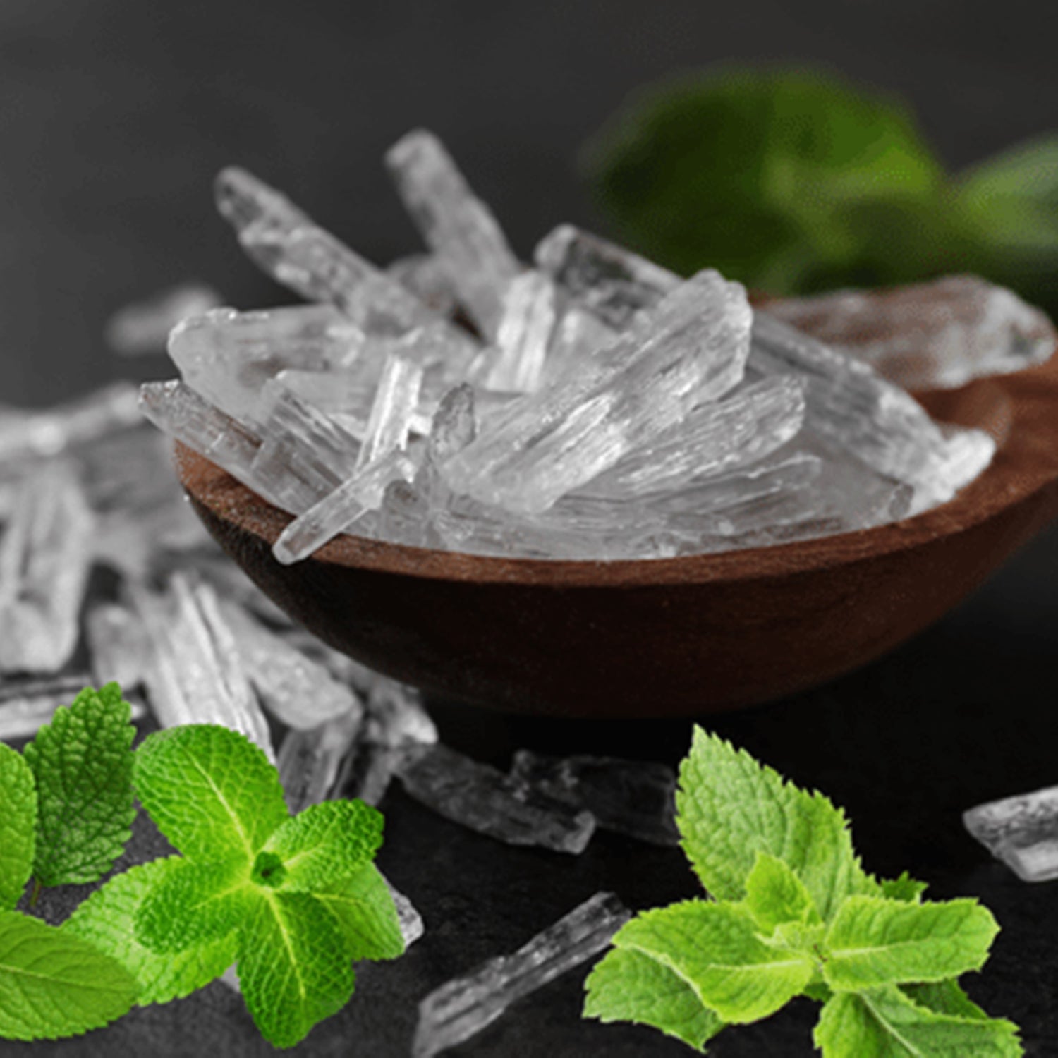 Menthol Crystals (USP)-Wild Herb Your Healthy Choice for Natural Living