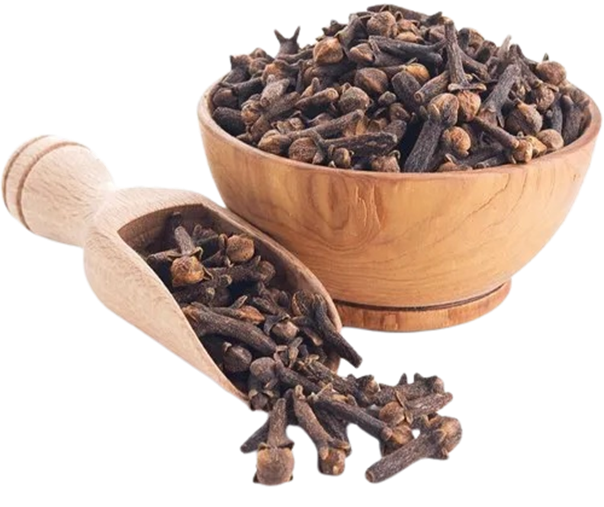 Clove Bud Pure Essential Oil-Wild Herb Your Healthy Choice for Natural Living