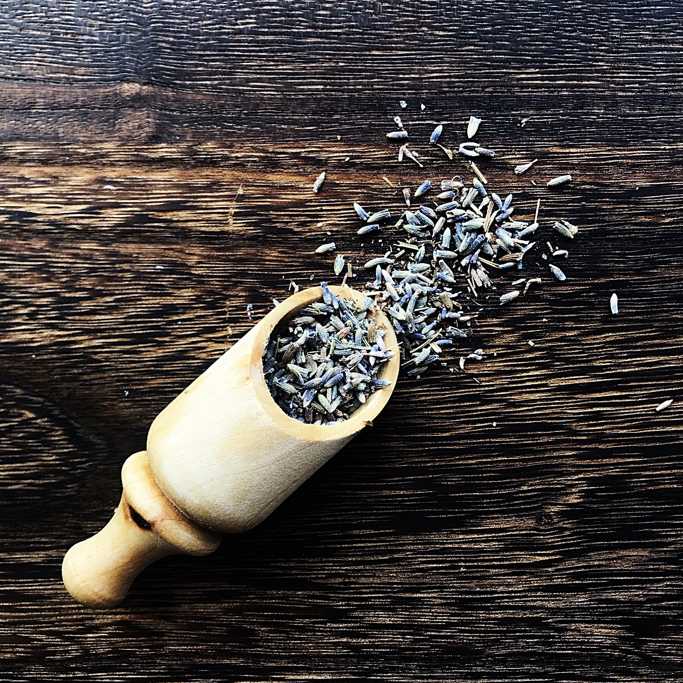 Lavender Buds, Premium French (Super buds)-Wild Herb Your Healthy Choice for Natural Living