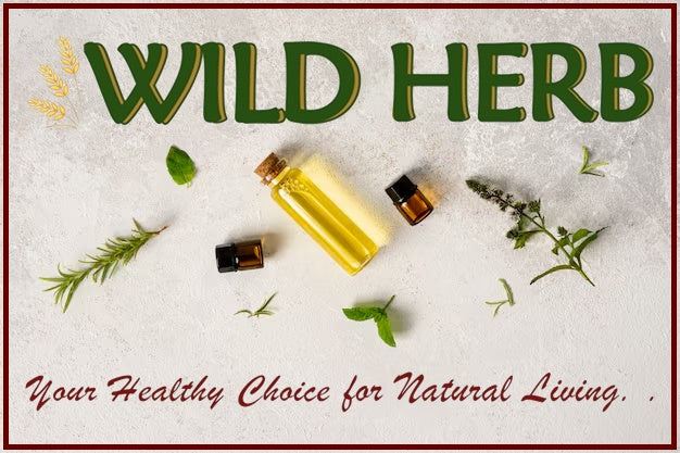 Unleash Your Inner Aromatherapist: Creative Essential Oil Uses-Wild Herb Your Healthy Choice for Natural Living
