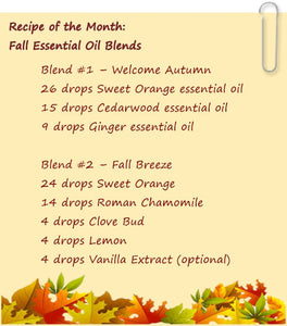 Need to get in the autumn spirit? Try these essential oil blends!