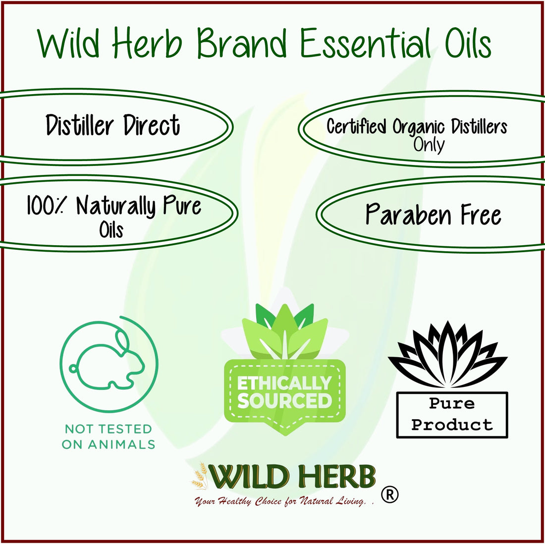 Marjoram Pure Essential Oil-Wild Herb Your Healthy Choice for Natural Living