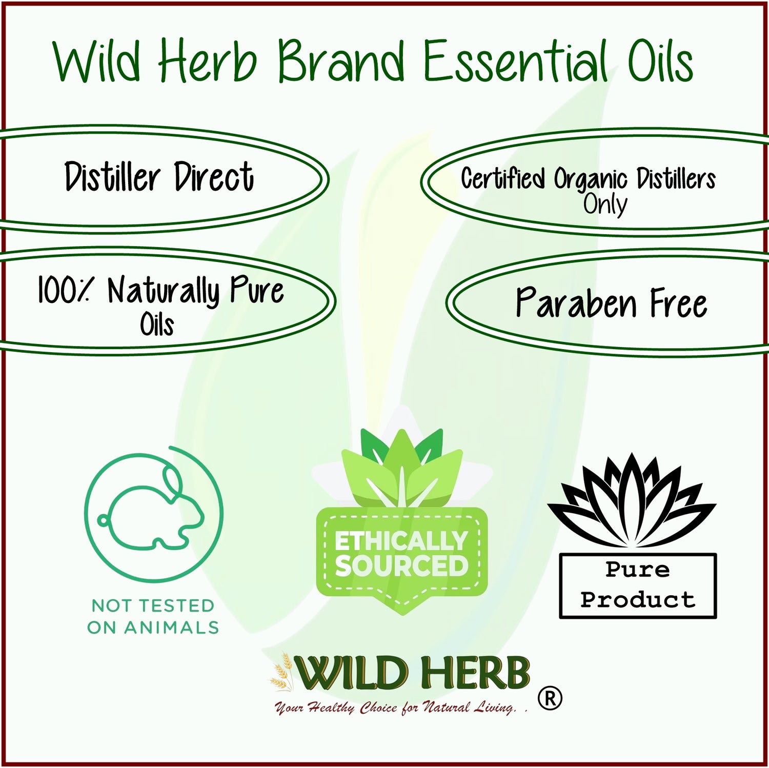 Marjoram Pure Essential Oil-Wild Herb Your Healthy Choice for Natural Living
