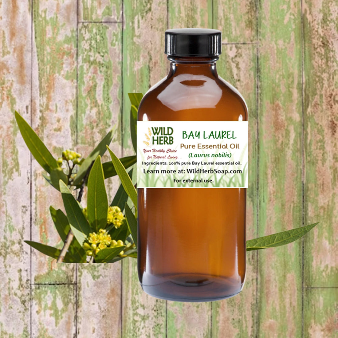Bay Laurel Pure Essential Oil-Wild Herb Your Healthy Choice for Natural Living