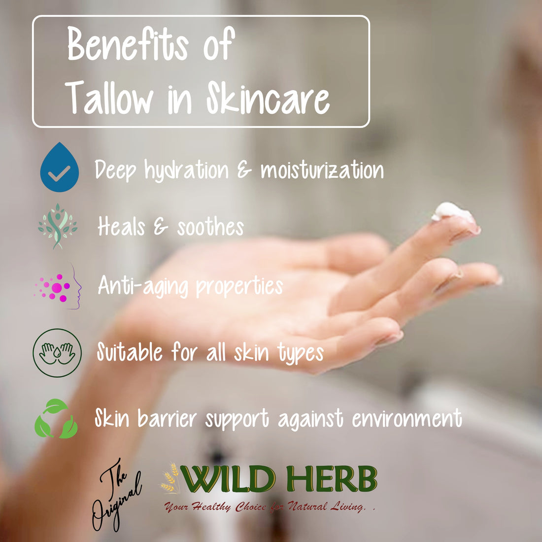 Tallow Whipped Body Cream