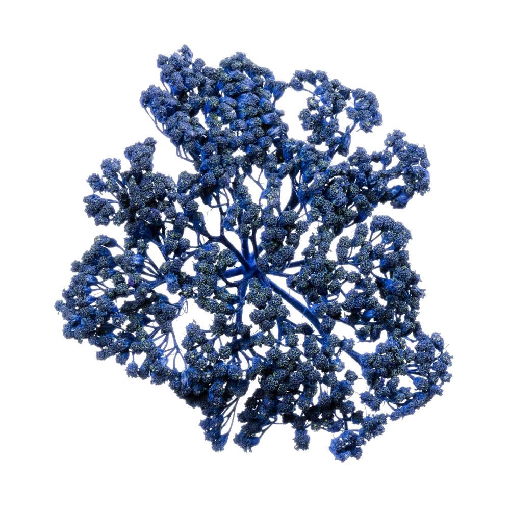 Blue Yarrow Pure Essential Oil-Wild Herb Your Healthy Choice for Natural Living