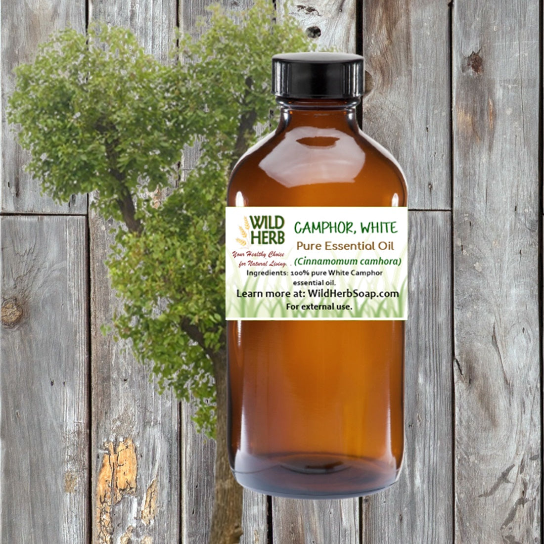 Camphor (White) Pure Essential Oil-Wild Herb Your Healthy Choice for Natural Living
