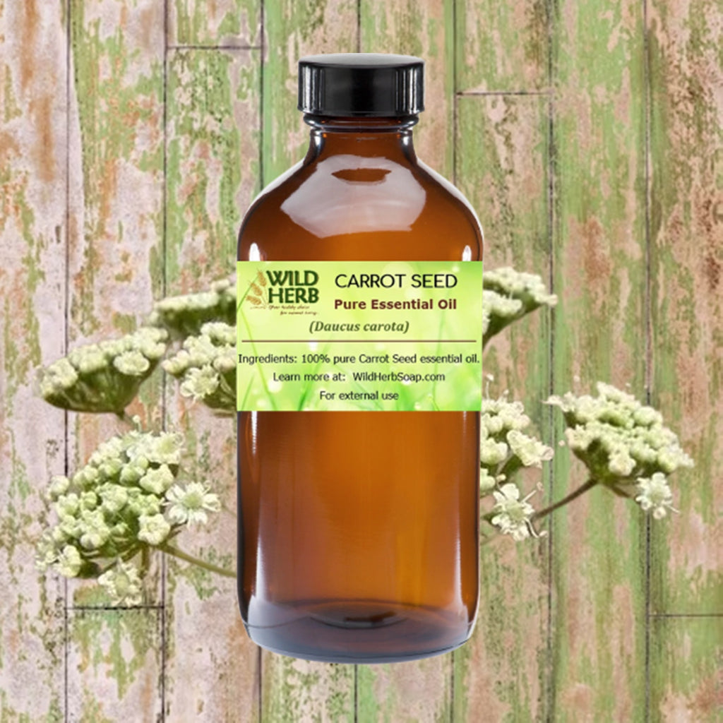 Carrot Seed Oil organic pure essential oil with over 70% caratol