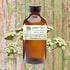 Carrot Seed Pure Essential Oil-Wild Herb Your Healthy Choice for Natural Living