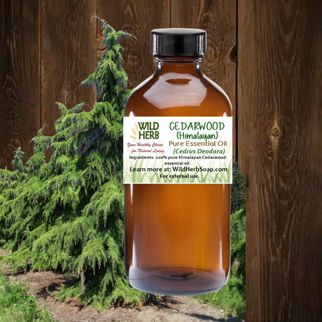 Cedarwood, Himalayan Pure Essential Oil-Wild Herb Your Healthy Choice for Natural Living