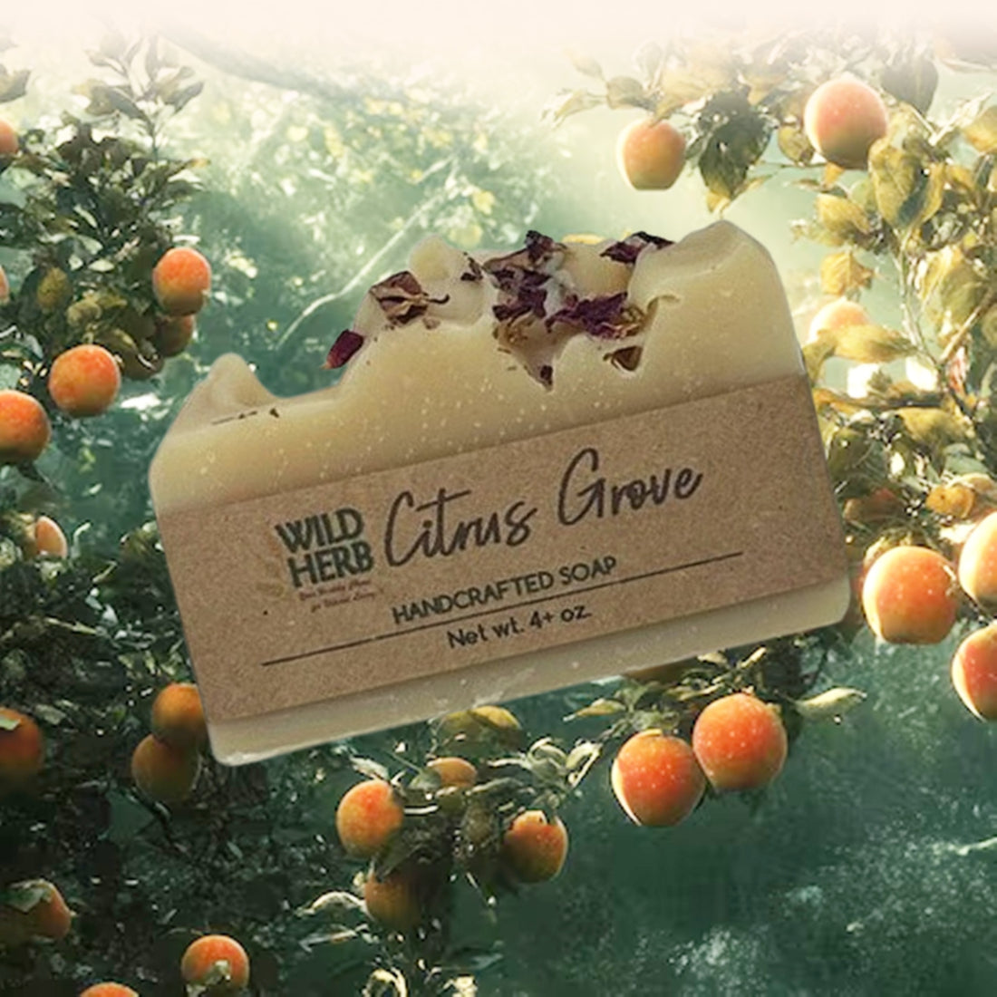 Citrus Grove Natural Soap Bar-Wild Herb Your Healthy Choice for Natural Living
