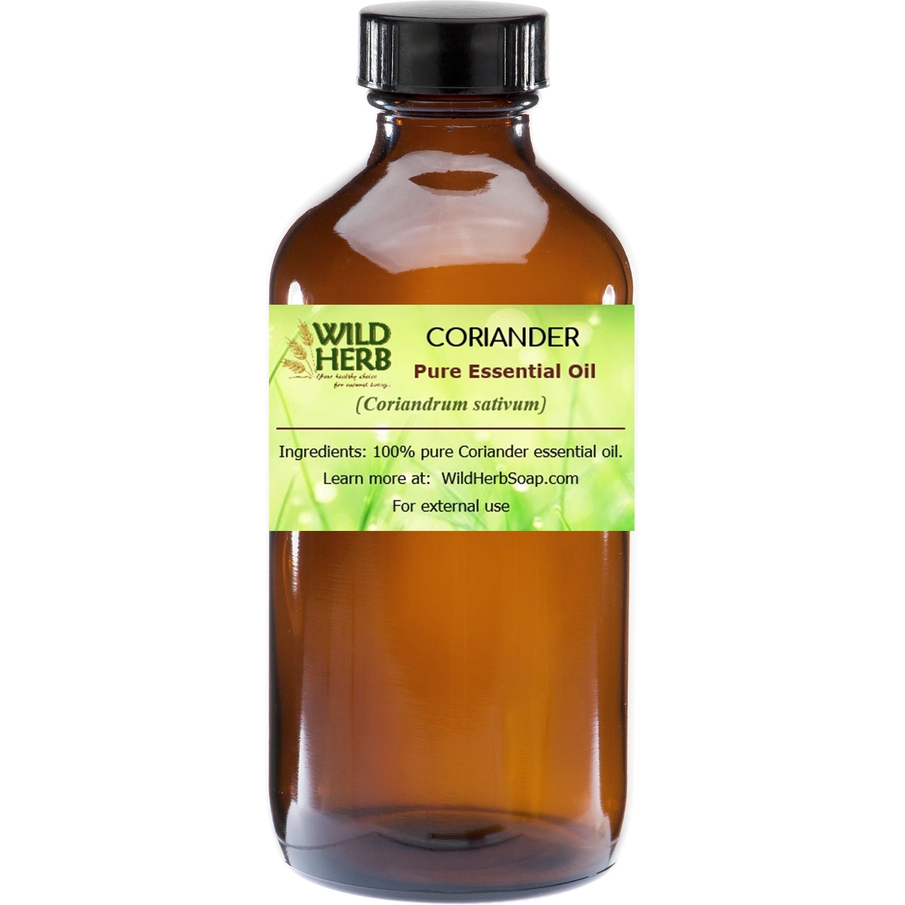 Coriander Pure Essential Oil
