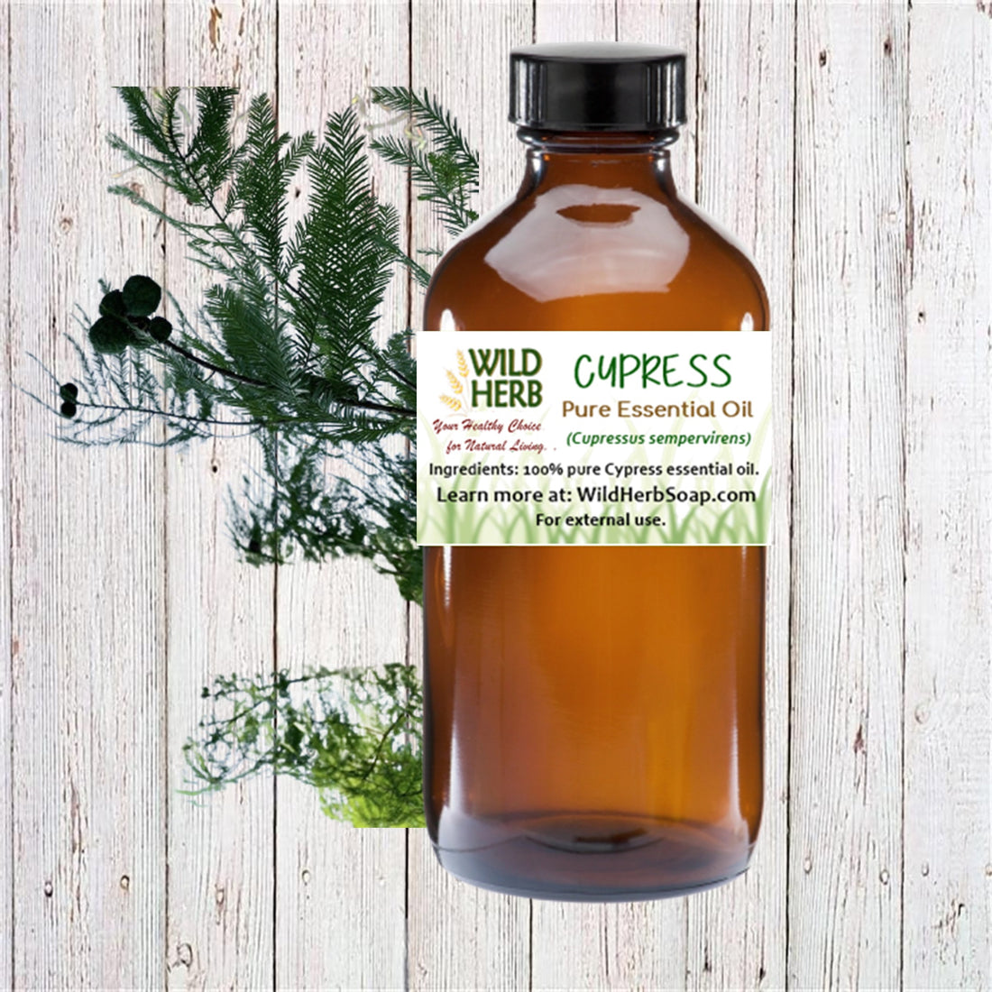Cypress Pure Essential Oil-Wild Herb Your Healthy Choice for Natural Living