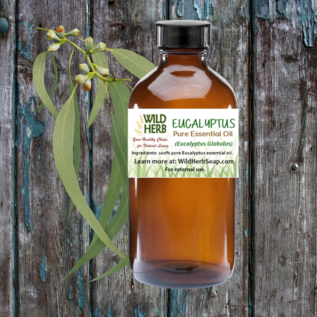 Eucalyptus Pure Essential Oil-Wild Herb Your Healthy Choice for Natural Living