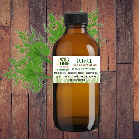 Fennel Pure Essential Oil-Wild Herb Your Healthy Choice for Natural Living