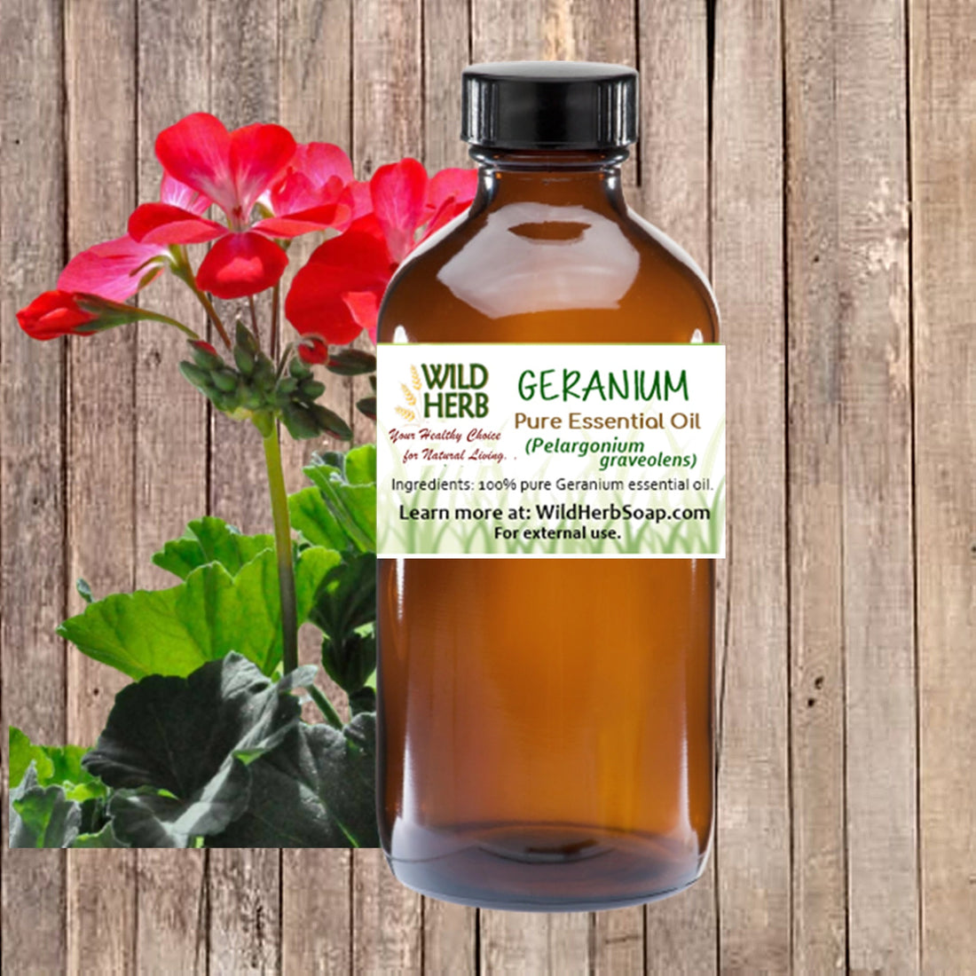 Geranium Pure Essential Oil-Wild Herb Your Healthy Choice for Natural Living