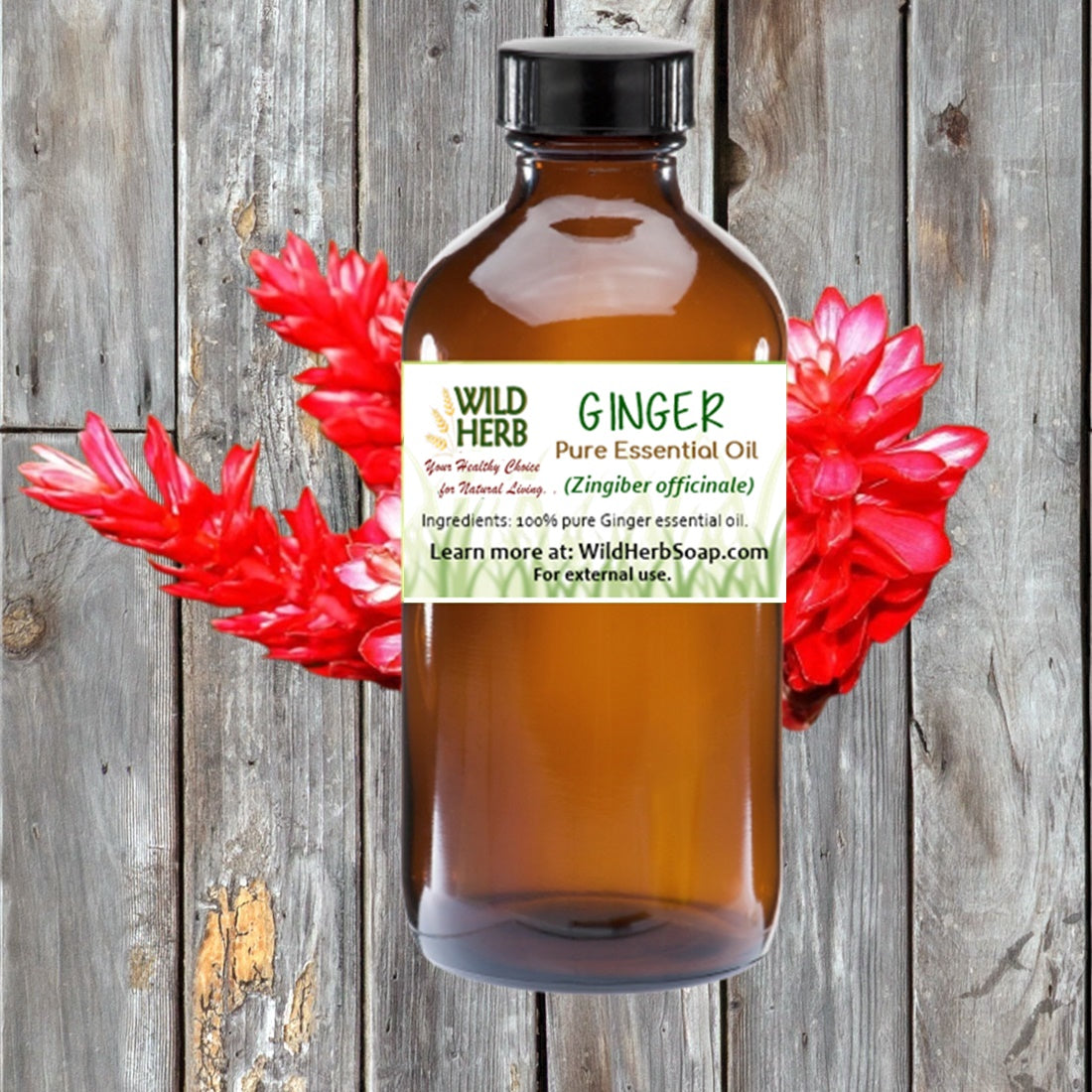 Ginger Pure Essential Oil-Wild Herb Your Healthy Choice for Natural Living