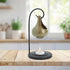Oil Warmer, Green Hanging Pot + Oil-Wild Herb Your Healthy Choice for Natural Living