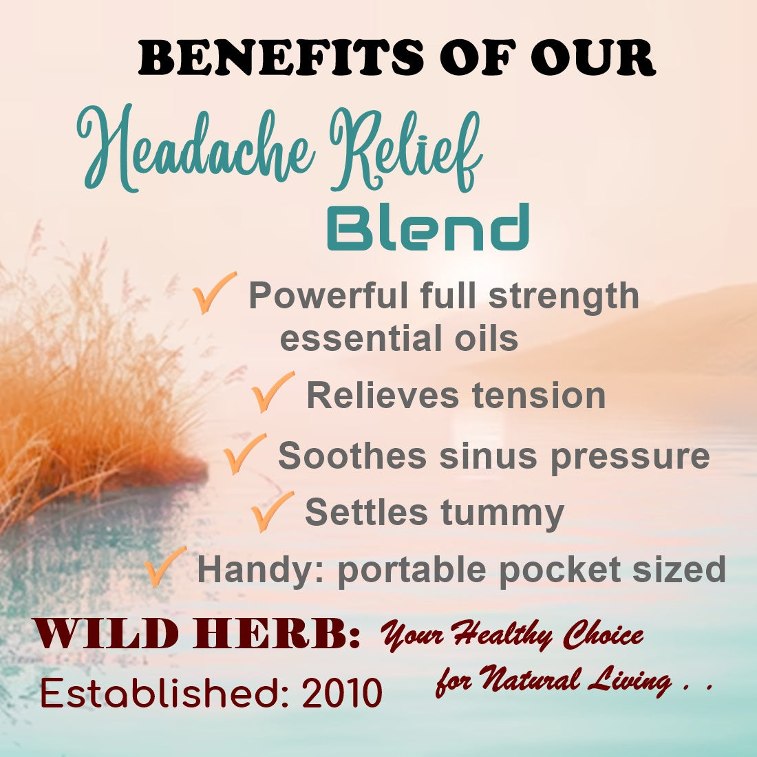 Headache Relief-Wild Herb Your Healthy Choice for Natural Living