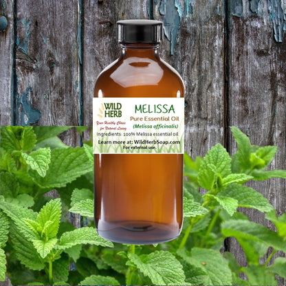 Melissa Pure Essential Oil-Wild Herb Your Healthy Choice for Natural Living