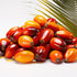 Palm Kernel Oil, Flakes (Sustainable)-Wild Herb Your Healthy Choice for Natural Living