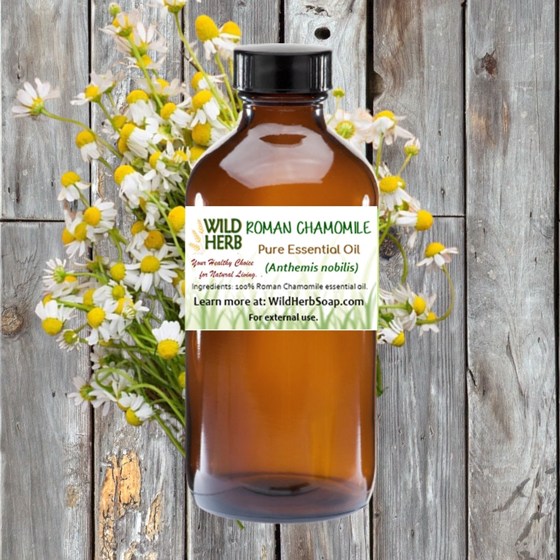 Chamomile, Roman Pure Essential Oil-Wild Herb Your Healthy Choice for Natural Living