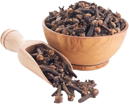 Clove Bud Pure Essential Oil-Wild Herb Your Healthy Choice for Natural Living