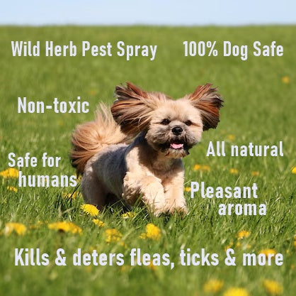 Pest Repellant for Dogs