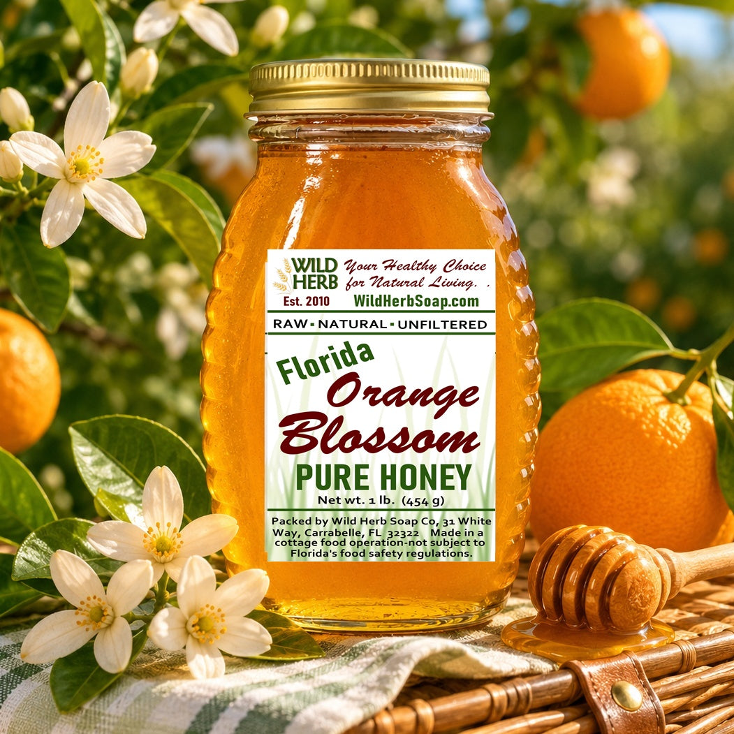 Florida Orange Blossom Honey, Citrus Grove Bees Pure Unfiltered (Glass Jar)
