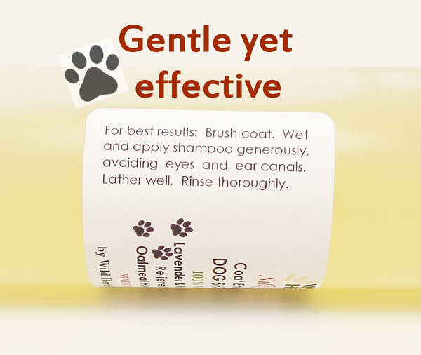 Dog Shampoo, Oatmeal Unscented