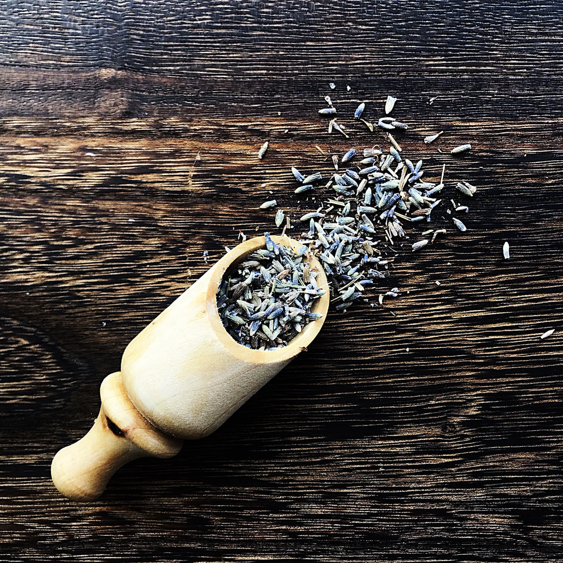 Lavender Buds, Premium French (Super buds)-Wild Herb Your Healthy Choice for Natural Living