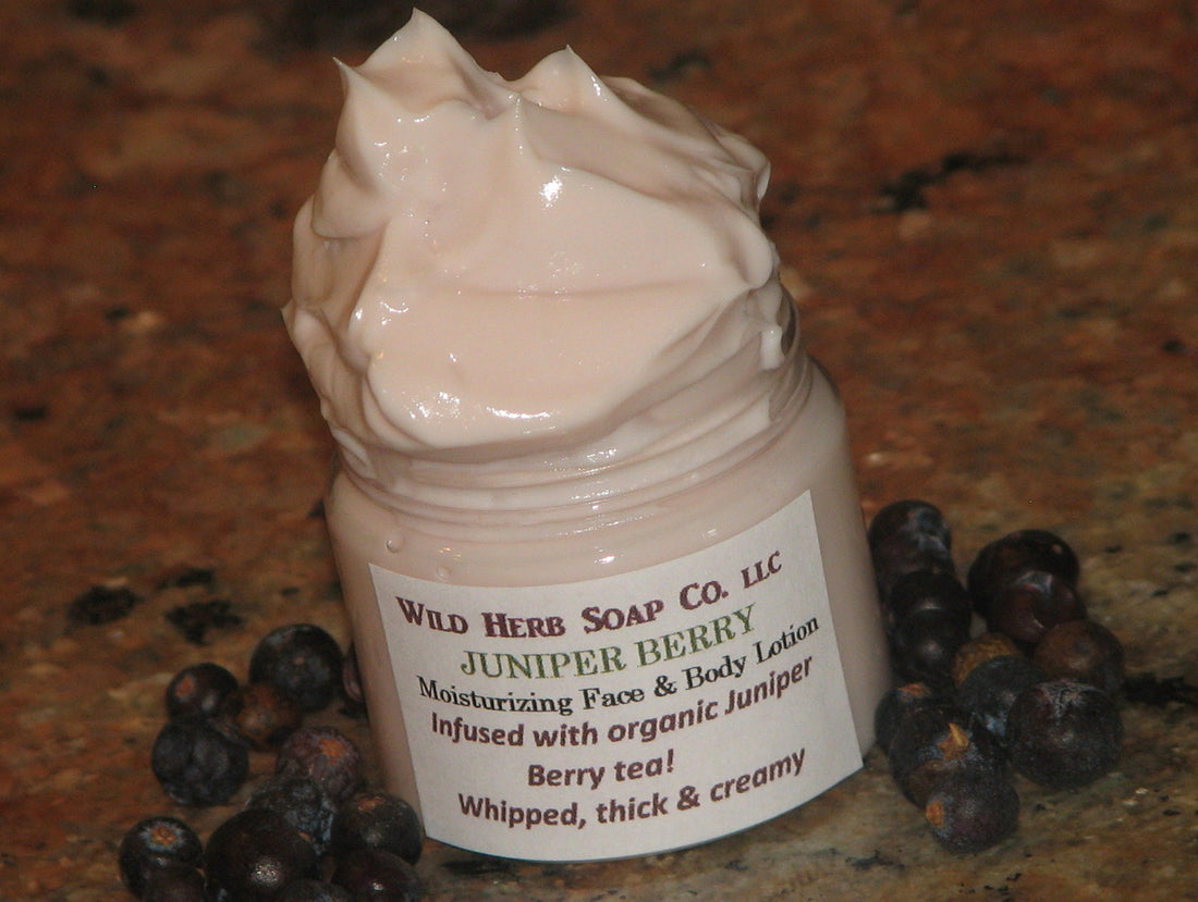 Lotion, Whipped Juniper Berry Face &amp; Body-Wild Herb Your Healthy Choice for Natural Living