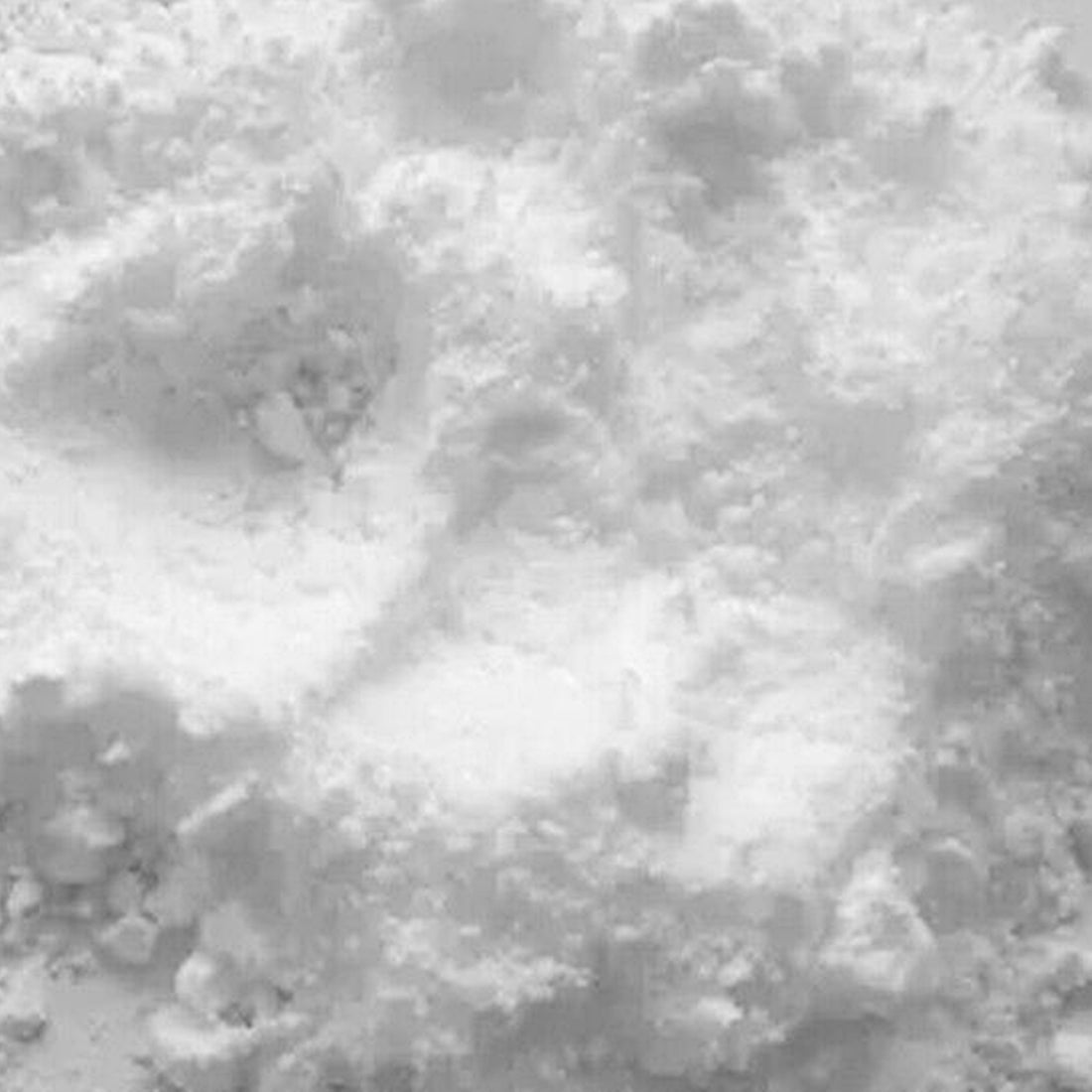 White Titanium Dioxide Powder-Wild Herb Your Healthy Choice for Natural Living