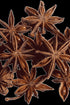 Anise Star Pure Essential Oil-Wild Herb Your Healthy Choice for Natural Living