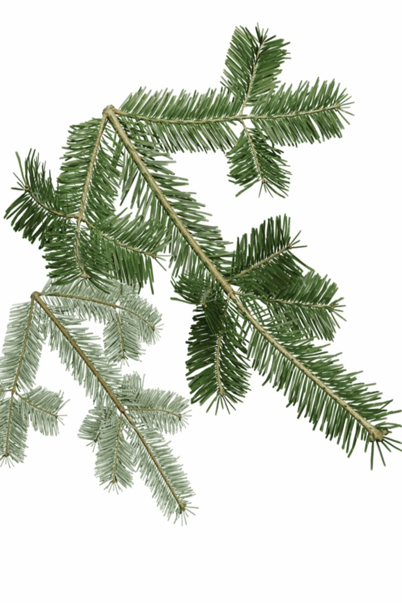 Black Spruce Pure Essential Oil-Wild Herb Your Healthy Choice for Natural Living