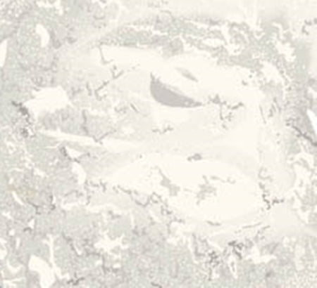 Arrowroot Powder-Wild Herb Your Healthy Choice for Natural Living