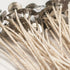 Candle Wicks, 